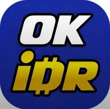 OKIDR - Pertempuran Tak Terbatas dalam Dunia TPS